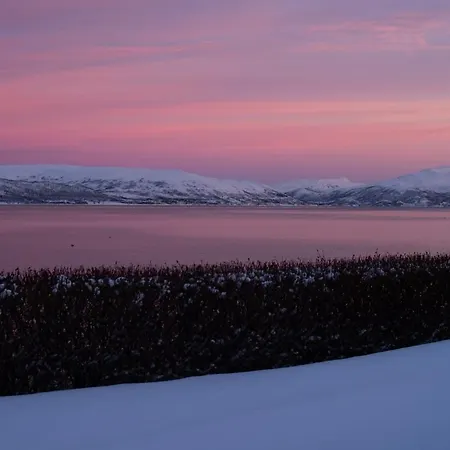 Spacious By The Sea For 6, Northern Lights & Fjord Views *