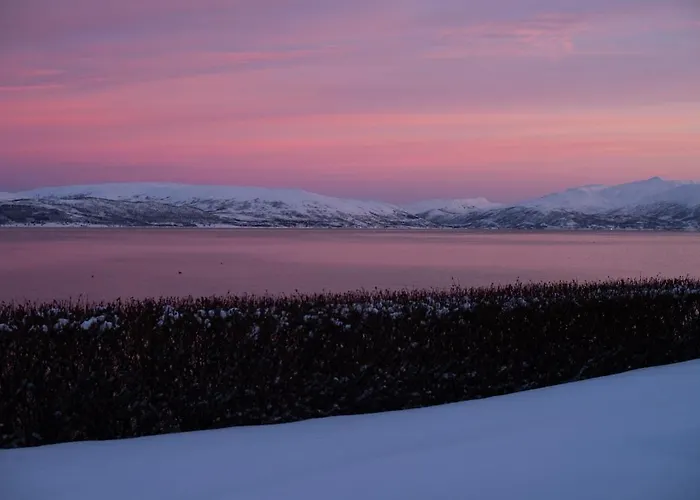 Spacious By The Sea For 6, Northern Lights & Fjord Views *