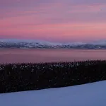 Spacious By The Sea For 6, Northern Lights & Fjord Views *